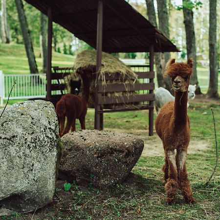 Taujenu Dvaro Sveciu Namai Taujenai Экстерьер фото